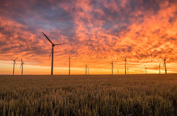 Energieeffizienz und Langlebigkeit – worauf Betriebe und Haushalte bei Maschinen und Geräten achten sollten