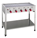 Neumärker Gas-Kombi-Standbräter 5