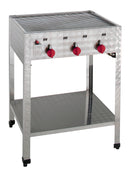 Neumärker Gas-Kombi-Standbräter 3