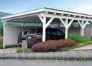 Butenas Carport Modell F2