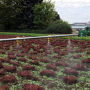 Ebinger sprayer SPE 236