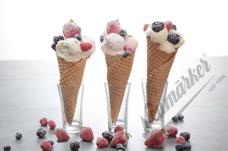 Neumärker Waffeleisen Thermocook® inkl. Eiswaffel Wechselplatten