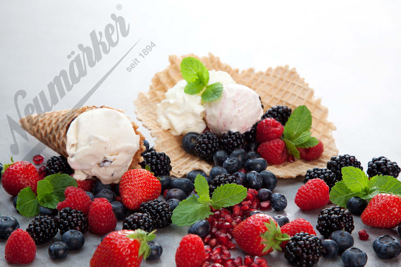 Neumärker Waffeleisen Thermocook® inkl. Eiswaffel Wechselplatten