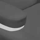 ACTIVESHOP Elektrischer Kosmetikliege SILLON CLASSIC 2 Pediküromotoren grau