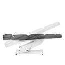 ACTIVESHOP Elektrische Kosmetikliege SILLON CLASSIC 4 Motoren mit Wiege grau