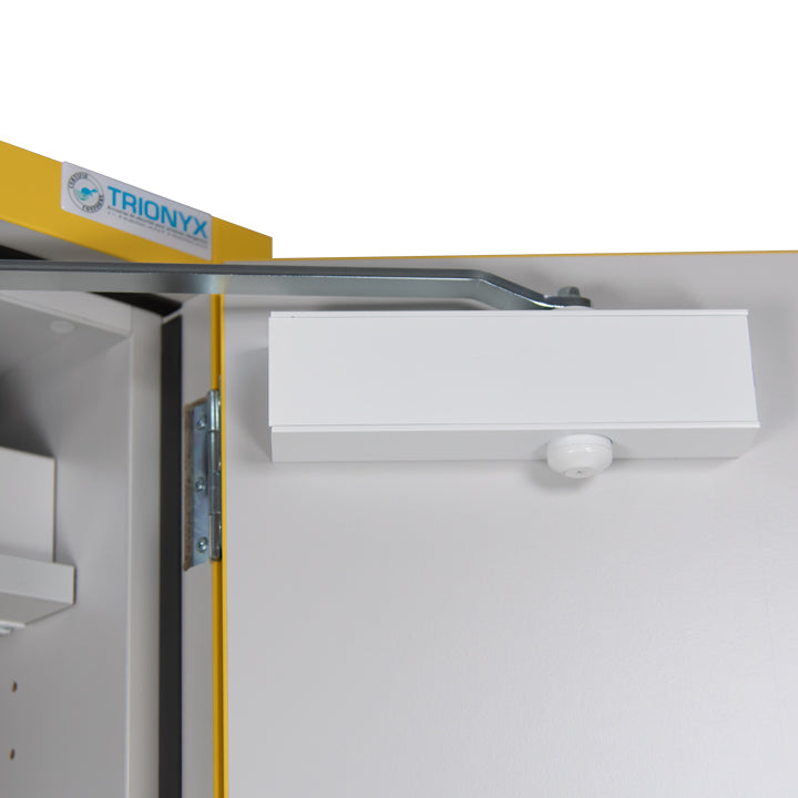 Armadio di sicurezza Ecosafe Tipo 30 - EN 14470-1 - Alto 1 Anta - 5 Cassetti