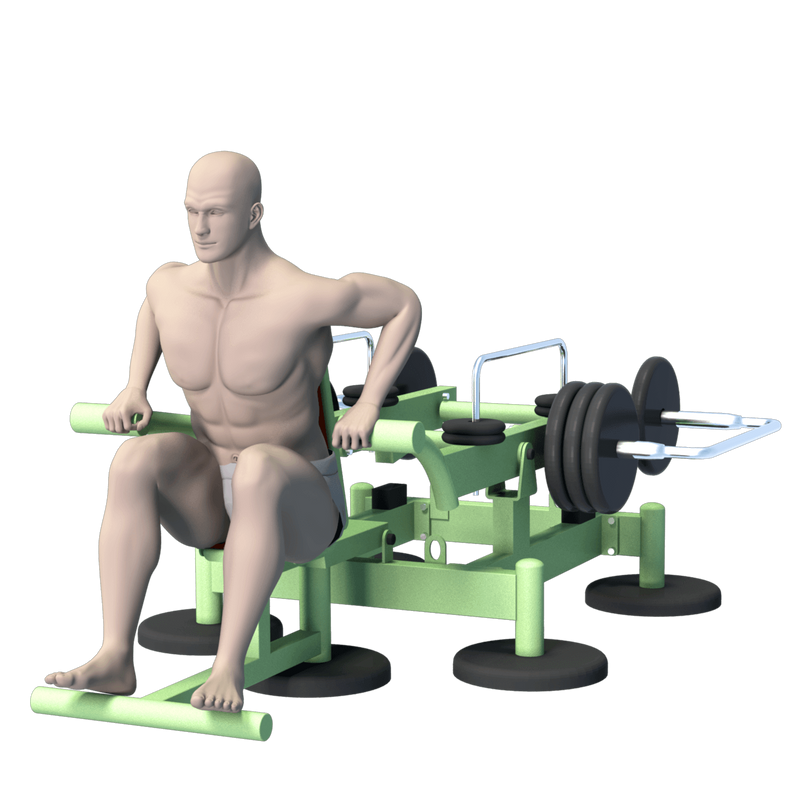 Tolymp Triceps Dip Machine – Beach Line – Street Barbell 