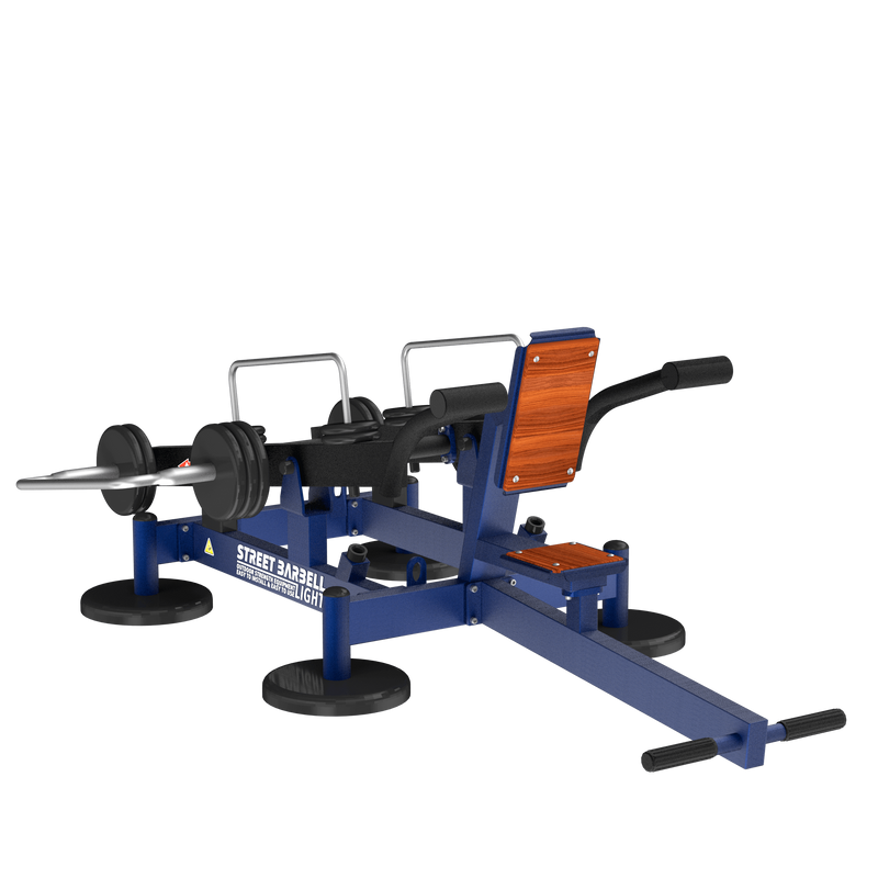 Tolymp Triceps Dip Machine – Beach Line – Street Barbell 