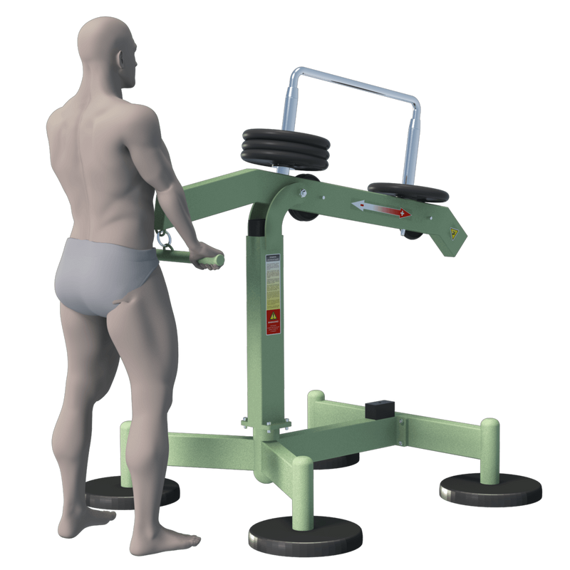 Tolymp Triceps Machine – Beach Line – Street Barbell 