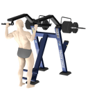 Tolymp LAT pull, standing – Street Barbell Line