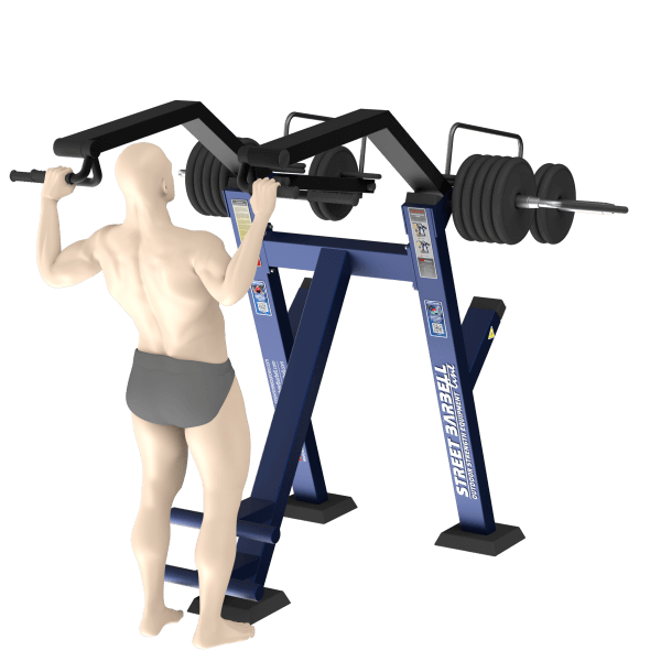 Tolymp LAT pull, standing – Street Barbell Line