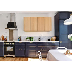 LOFRA - DOLCEVITA INDUZIONE - FORNO SINGOLO 60cm - RNM 66 MFT/ 4I - Nero - Finiture Ottone – Vorschau 2