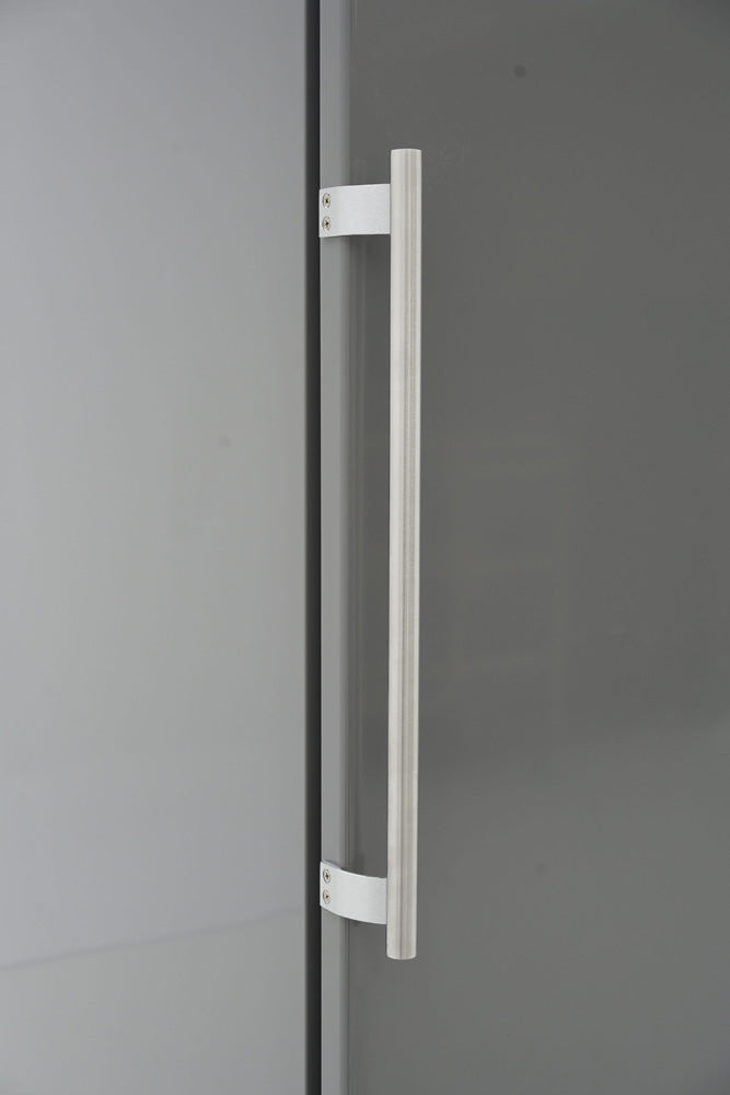 Bergman  Ecoline Lagertiefkühlschrank Abs - 580 L