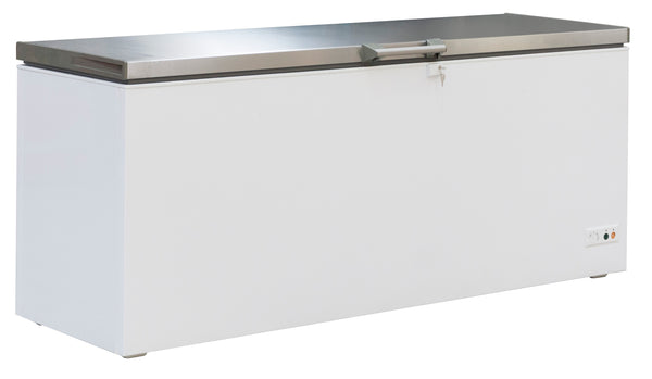 COMBISTEEL FREEZER RFS LID 635 L