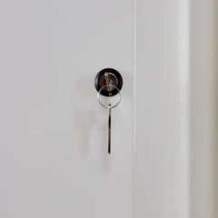 Ecosafe 2-türiger Unterbau-sicherheitsschrank Typ 90 – Vorschau 9