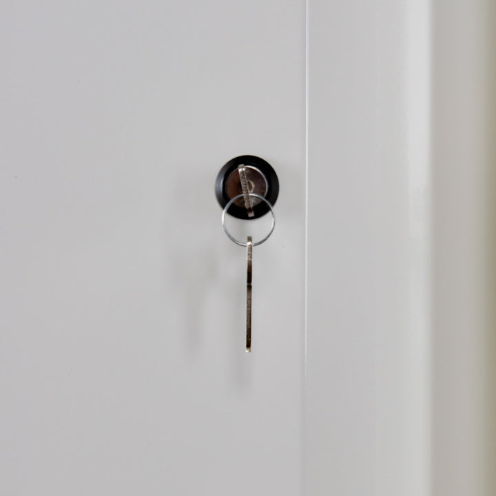 Ecosafe 2-türiger Arbeitsschutzschrank Typ 90 - 2 Fächer