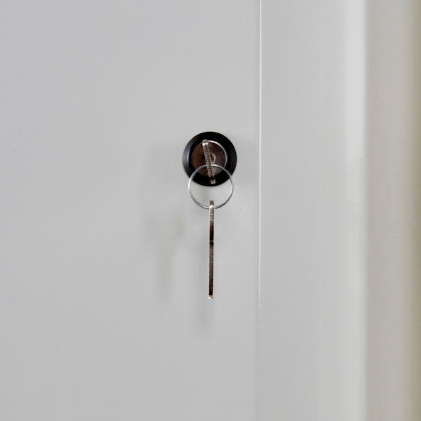 Ecosafe 2-türiger Sicherheitshochschrank Typ 90