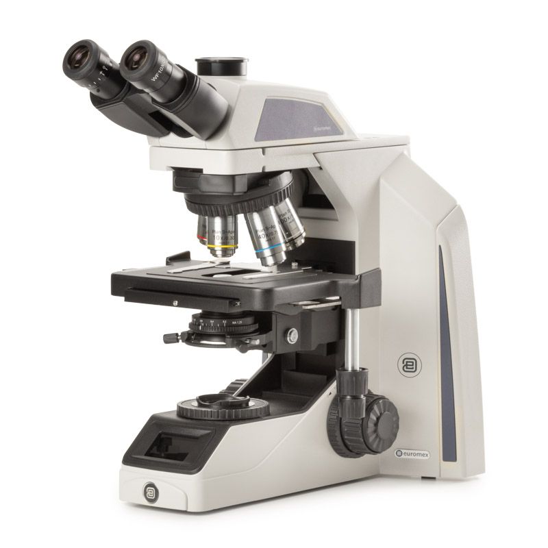 Euromex Mikroskop Achios-X Observer, AX.1153-APLi, Trino, EWF 10x/22 mm, Plan Semi-Apo, APLi 4/10/S40/S100x Öl IOS, 3 W NeoLED™