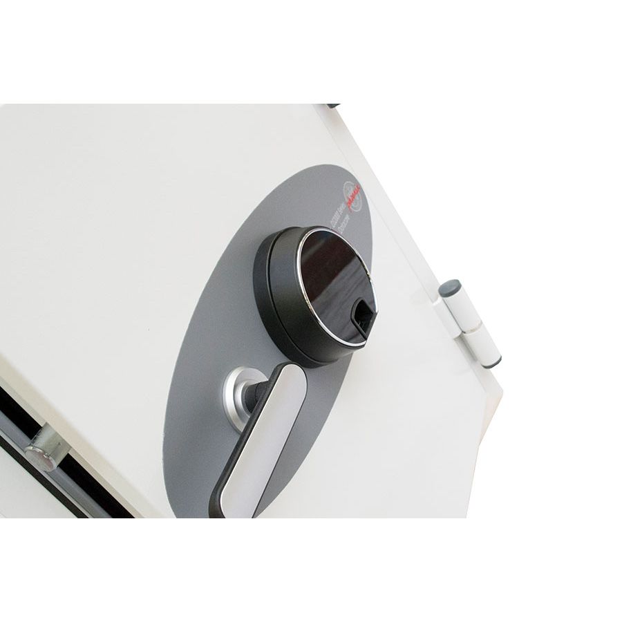Phoenix Data Commander DS4622F Größe 2 Datensafe mit Fingerabdruckschloss