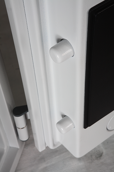 Phoenix Datacare DS2001F Größe 1 Datensafe mit Fingerabdruckschloss