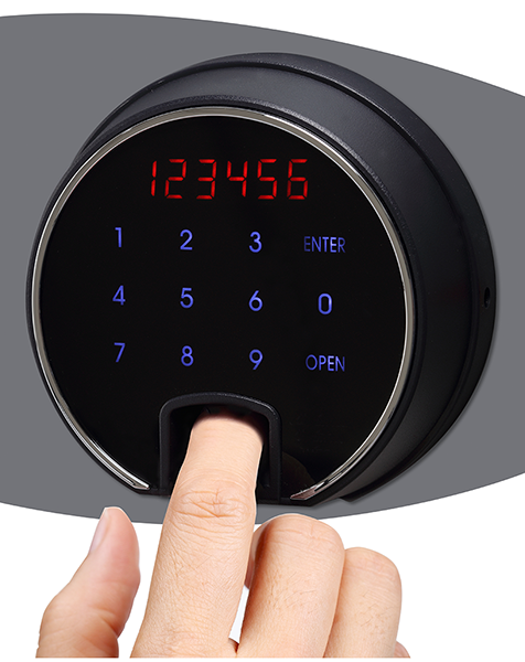 Phoenix Data Commander DS4621F Größe 1 Datensafe mit Fingerabdruckschloss