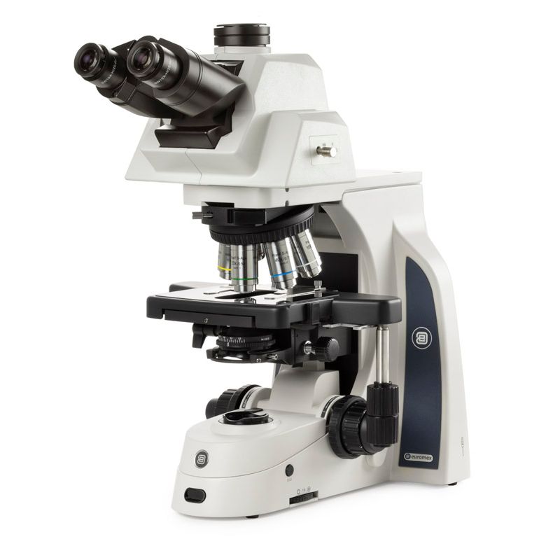 Euromex Delphi-X Observer, microscopio trinoculare con testa inclinabile 0–35°, oculari SWF 10x/25 mm Ø 30 mm, obiettivi IOS piani semi-apocromatici APLi 4/10/20/S40/S100x a immersione in olio