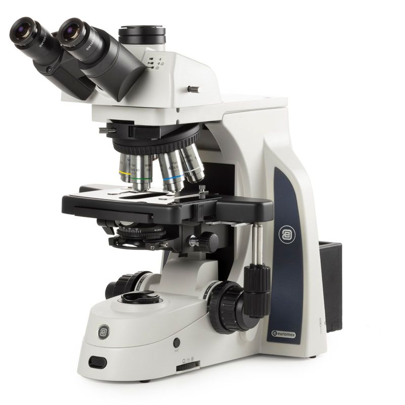 Euromex Delphi-X Observer, microscopio trinoculare con oculari SWF 10x/25 mm Ø 30 mm, obiettivi planari PLi 4/10/20/S40/S100x a immersione in olio IOS