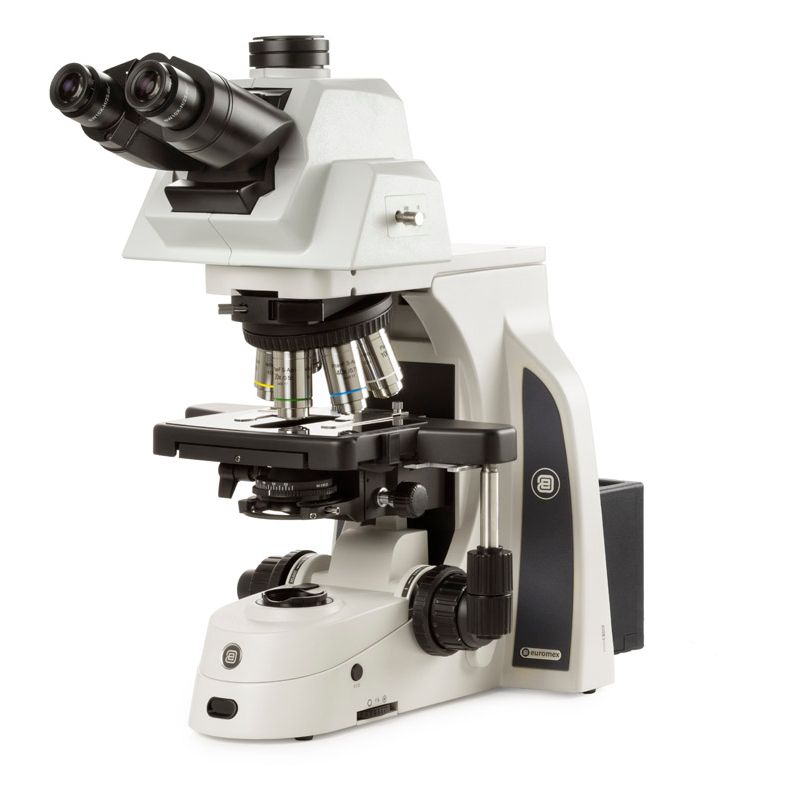 Euromex Delphi-X Observer, microscopio trinoculare con testa inclinabile 0-35°, oculari SWF 10x/25 mm Ø 30 mm, obiettivi piano semi-apocromatici APLi 4/10/20/S40/S100x olio-IOS