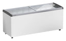 Liebherr EFE 6052 Eiscreme-Gefriertruhe