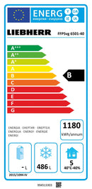 Liebherr FFPSvg 6501 Performance Gefriergerät GN 2/1 mit Umluftkühlung