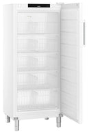 Liebherr FFFsg 5501 Performance Standgefrierschrank mit SmartFrost