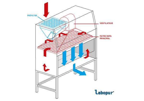 Ecosafe Vertikaler Laminar-air-flow-schrank, 1200 Breit
