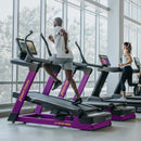FREEMOTION Laufband elektrisch INCLINE TRAINER i22.9