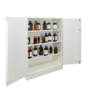 Ecosafe Sicherheitsschrank Für Leicht Entzündbare Produkte, Giftige Oder Schädlichen Chemikalien - Theke 2 Türen