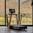 NORDICTRACK Laufband elektrisch ULTRA 1
