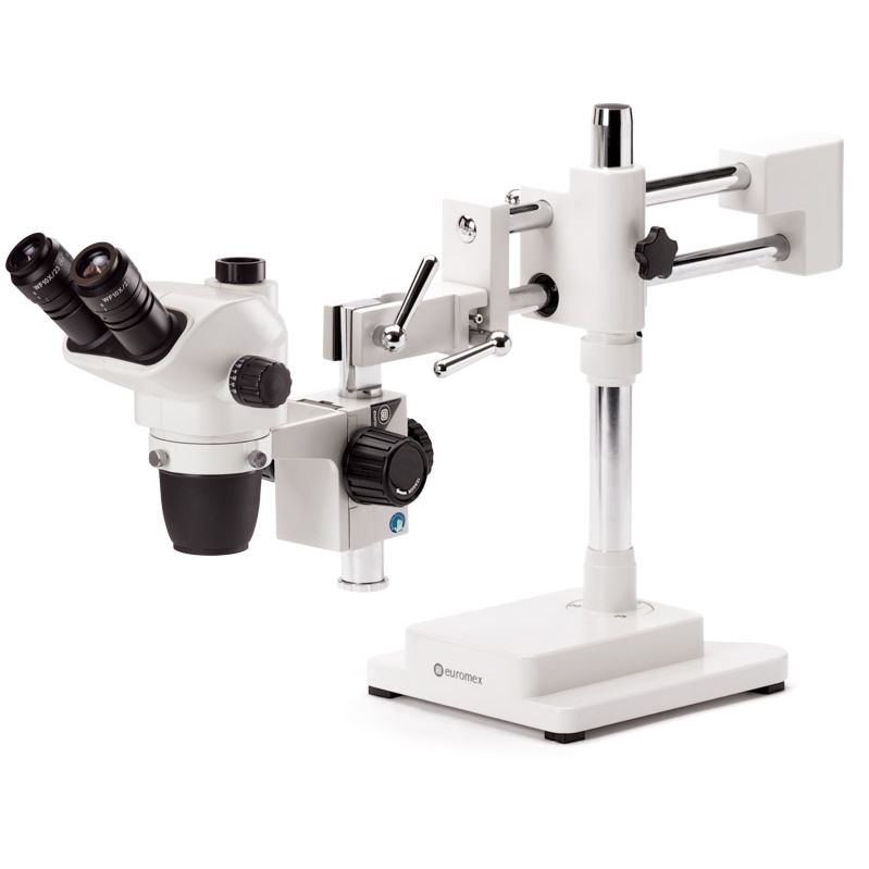 Euromex NZ.1703-B, NexiusZoom EVO, da 6,5x a 55x, stativo a doppio braccio, senza illuminazione, trinoculare