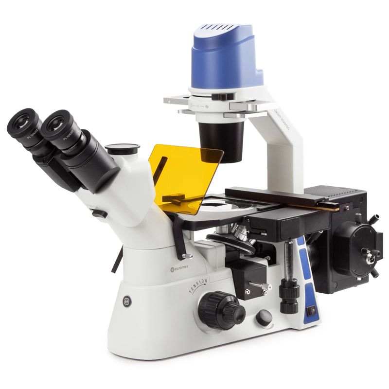 Euromex Umgekehrtes Fluoreszenzmikroskop mit mechanischem Tisch PL Fluarex 10x und PLPH Fluarex 20/40x - Schiene für 4 Filterblöcke und mit Transportbox