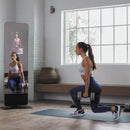 PROFORM Fitness-Spiegel VUE