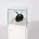Form Department PODIUM.E32 – Haubenvitrine abschließbar mit Staufach und Drehteller