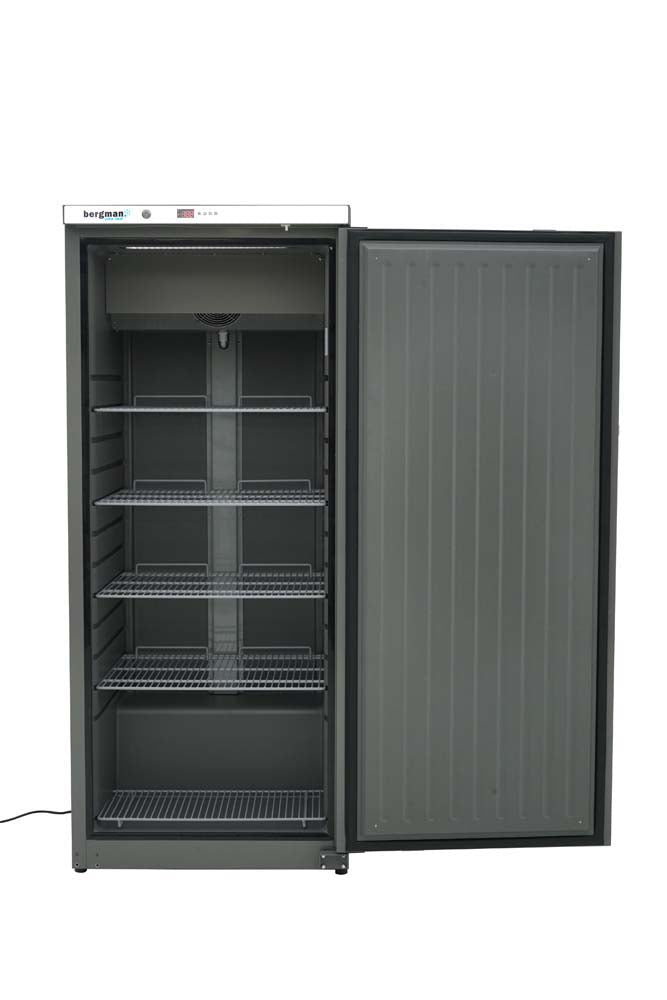 Bergman  Ecoline Lagertiefkühlschrank Abs - 580 L