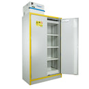 Ecosafe Sicherheitsschrank Hoch 2 Türen Typ 30 - en 14470-1 Mit Filtration