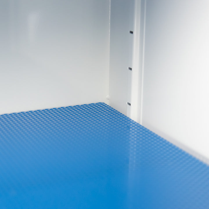 Ecosafe Sicherheitsschrank Mit Filtration - Hoch 2 Türen - 2 Innenfächer