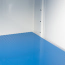 Ecosafe Sicherheitsschrank Mit Filtration - Hoch 2 Türen - 2 Innenfächer