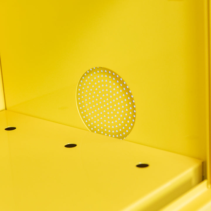 Ecosafe Sicherheitsschrank Mit Feuerlöscher Für Leicht Entzündbare Produkte - 100 L