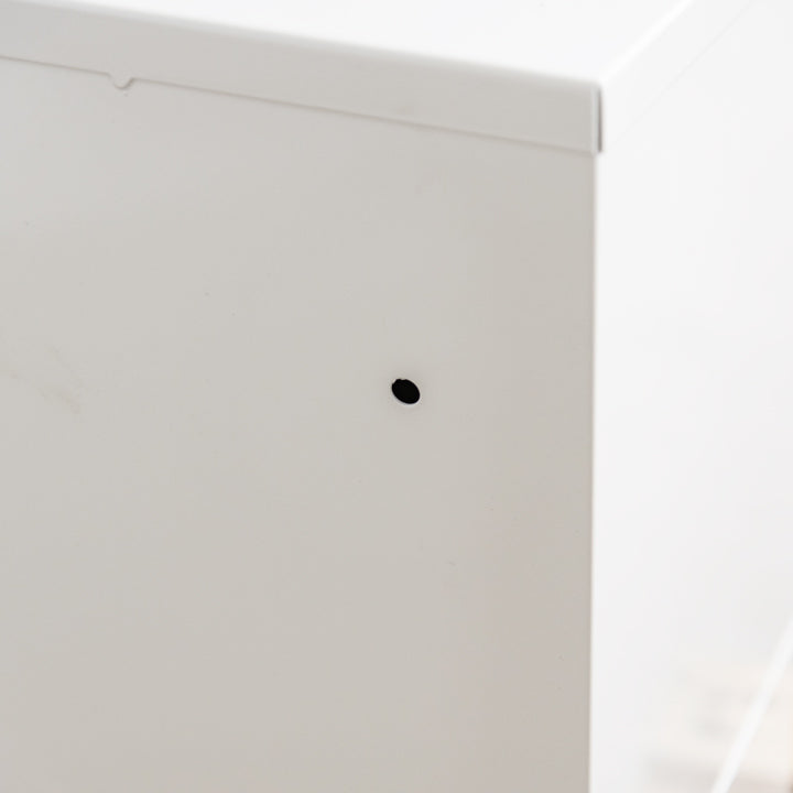 Ecosafe Sicherheitsschrank Für Leicht Entzündbare Produkte - 20 L