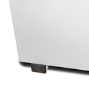 Ecosafe Sicherheitsschrank - Hoch 2 Türen - 4 Innenfächer