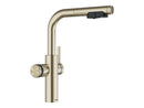 Blanco Set Trinkwasserarmatur Choice Icona-L Satin Gold + Choice.All