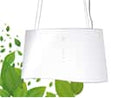 Falmec Mare E.ion® Inselhaube 66 cm Weiß