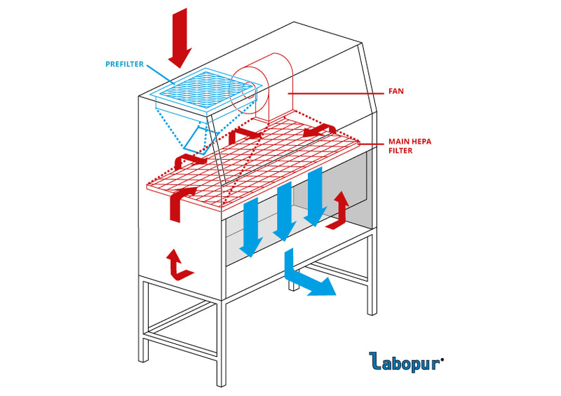Ecosafe Vertikaler Laminar-air-flow-schrank, 900 Breit