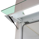 Ecosafe Vertikaler Laminar-air-flow-schrank, 900 Breit